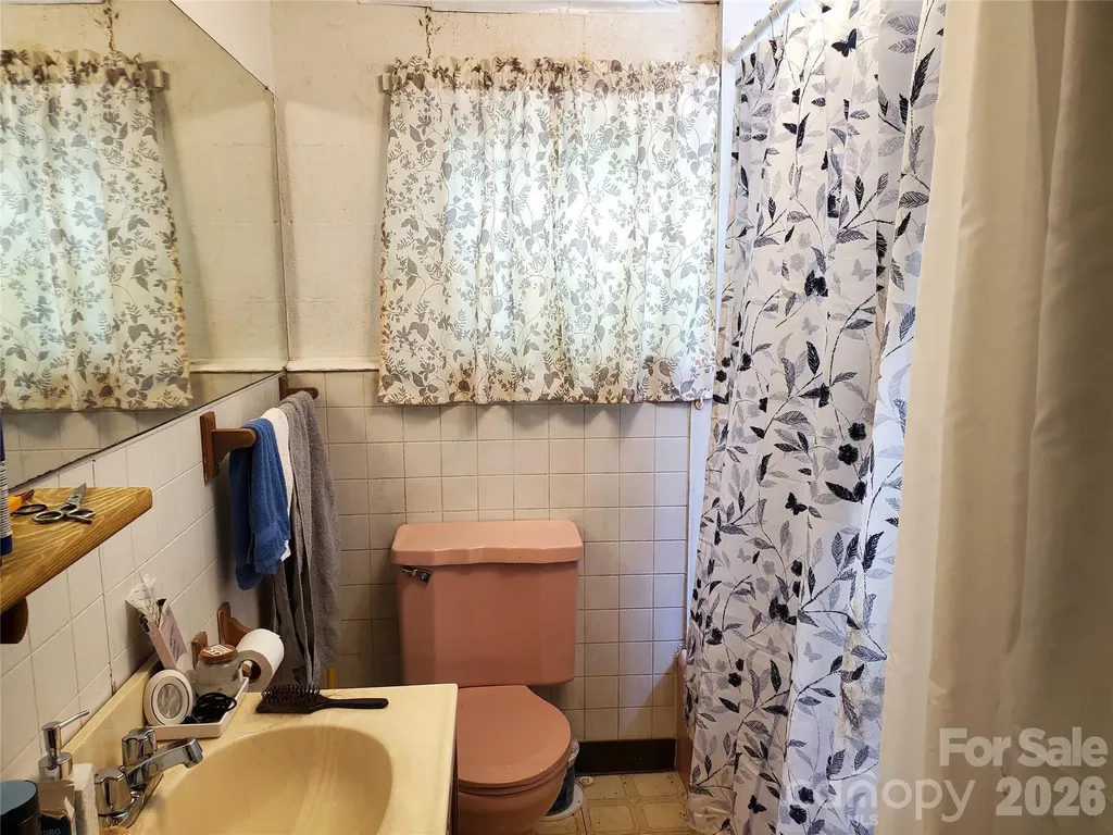 20 Homewood Drive Asheville NC 28803