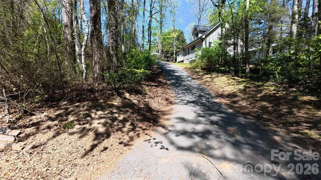 20 Homewood Drive Asheville NC 28803