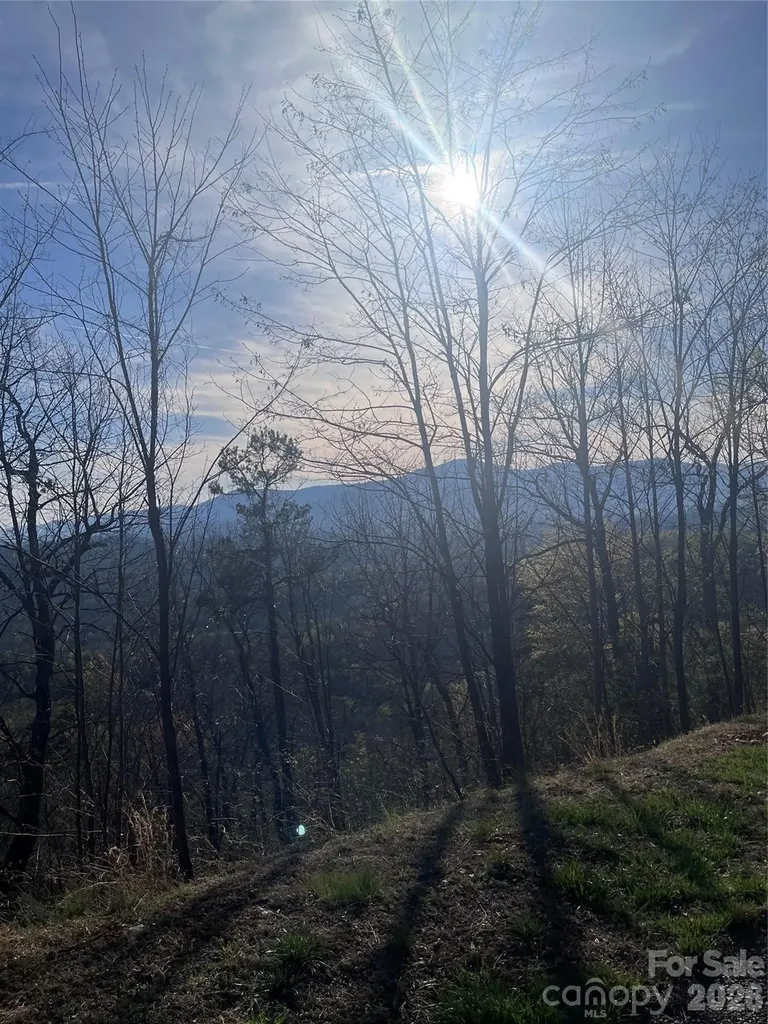 0 Golden Ridge Drive Lake Lure NC 28746