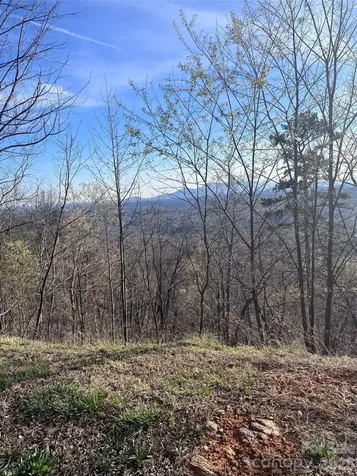 0 Golden Ridge Drive Lake Lure NC 28746