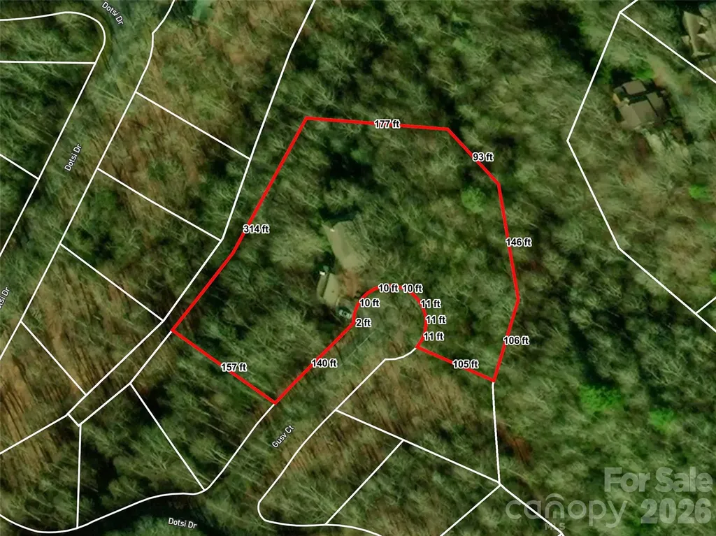 65 Gusv Court Brevard NC 28712