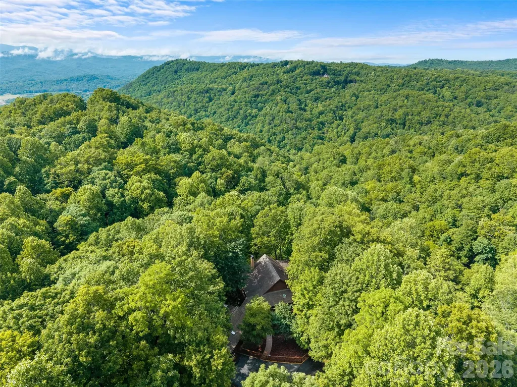 65 Gusv Court Brevard NC 28712