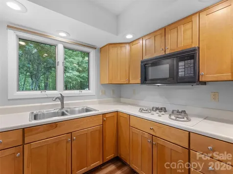 65 Gusv Court Brevard NC 28712