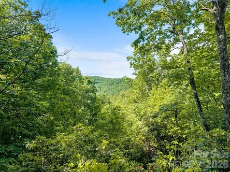 65 Gusv Court Brevard NC 28712
