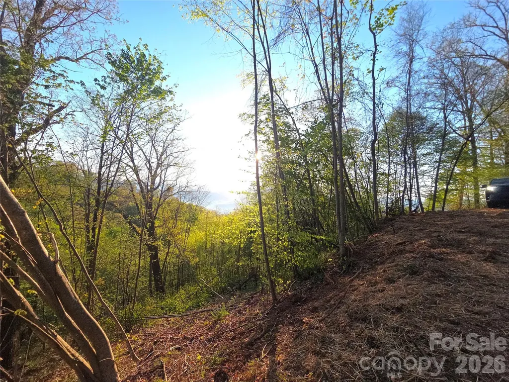 3355 Utah Mountain Road Waynesville NC 28785