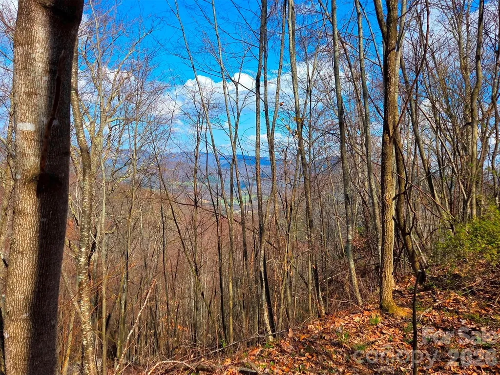3355 Utah Mountain Road Waynesville NC 28785