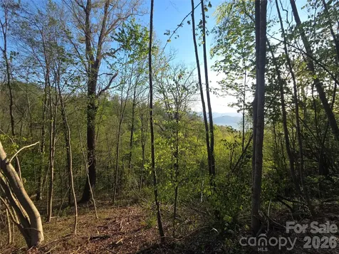 3355 Utah Mountain Road Waynesville NC 28785