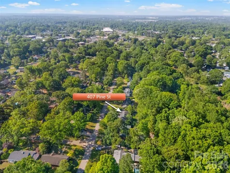 407 Pine Street Fort Mill SC 29715