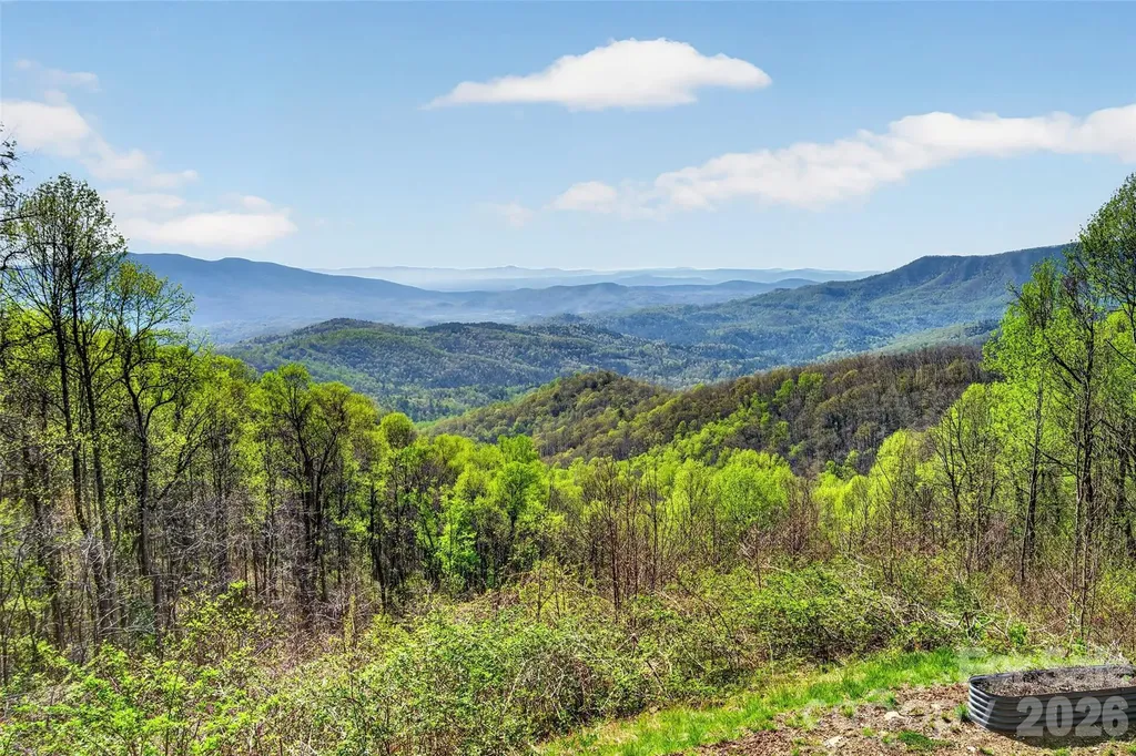 155 Wrenlock Drive Little Switzerland NC 28752