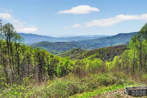 155 Wrenlock Drive Little Switzerland NC 28752