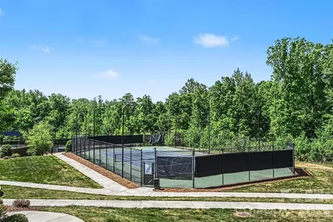 509 Common Raven Court Fort Mill SC 29715