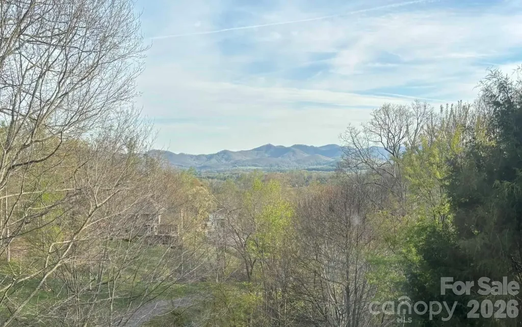 24 Sunnie Rae Lane Candler NC 28715