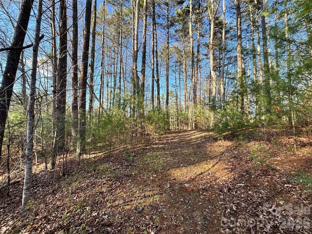 11 Wildlife Drive Clyde NC 28721