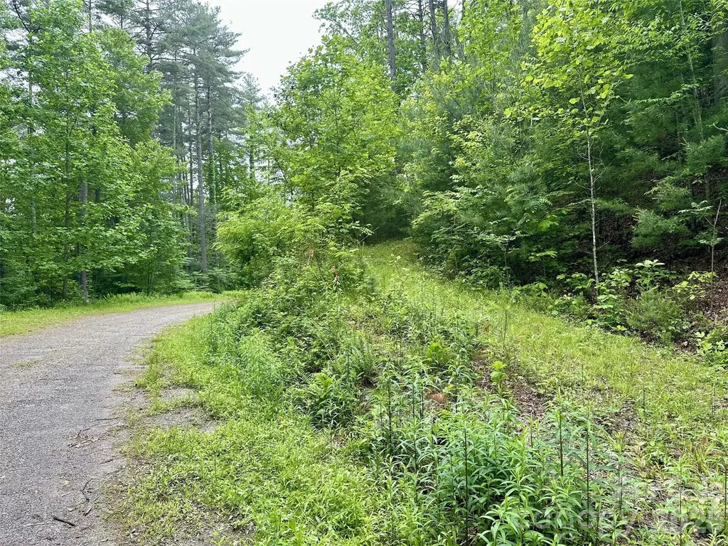 11 Wildlife Drive Clyde NC 28721