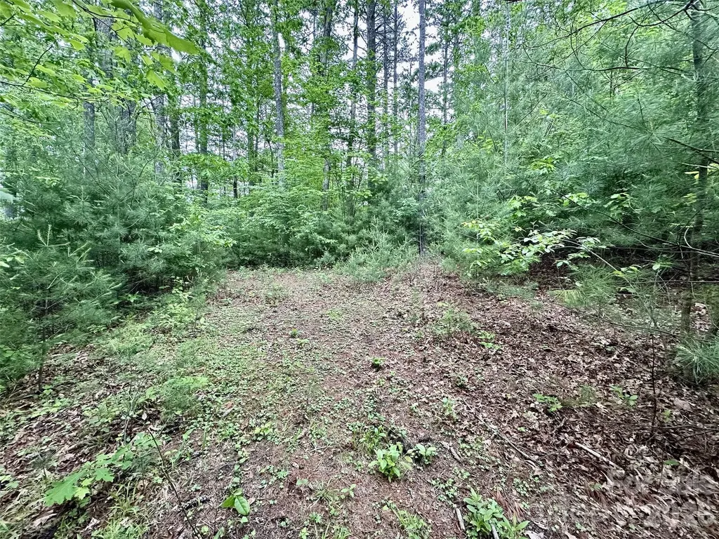 11 Wildlife Drive Clyde NC 28721