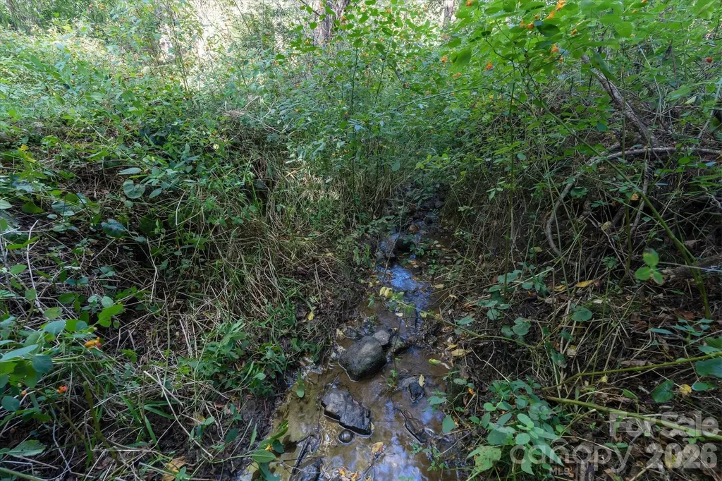 Tbd Crymes Cove Road Waynesville NC 28786