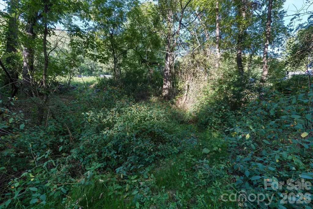 Tbd Crymes Cove Road Waynesville NC 28786