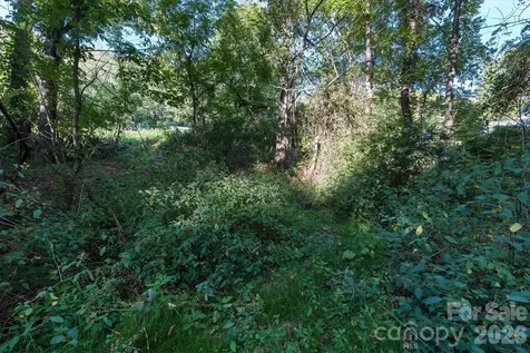 Tbd Crymes Cove Road Waynesville NC 28786