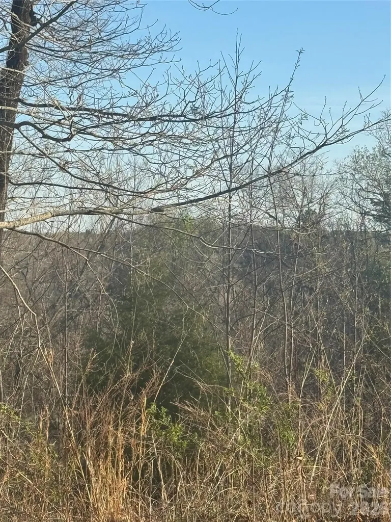 0 Willow Top Lane Lake Lure NC 28746