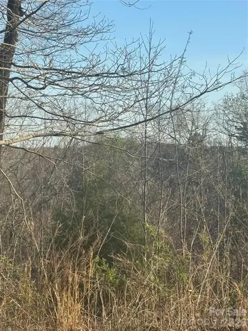 0 Willow Top Lane Lake Lure NC 28746