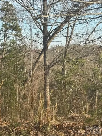 0 Willow Top Lane Lake Lure NC 28746