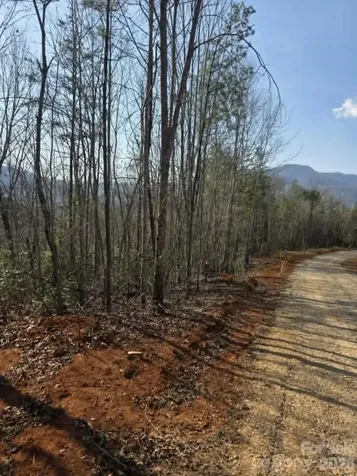 Lot 8 Kerlee Lane Old Fort NC 28762