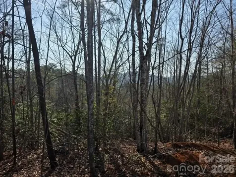 Lot 8 Kerlee Lane Old Fort NC 28762