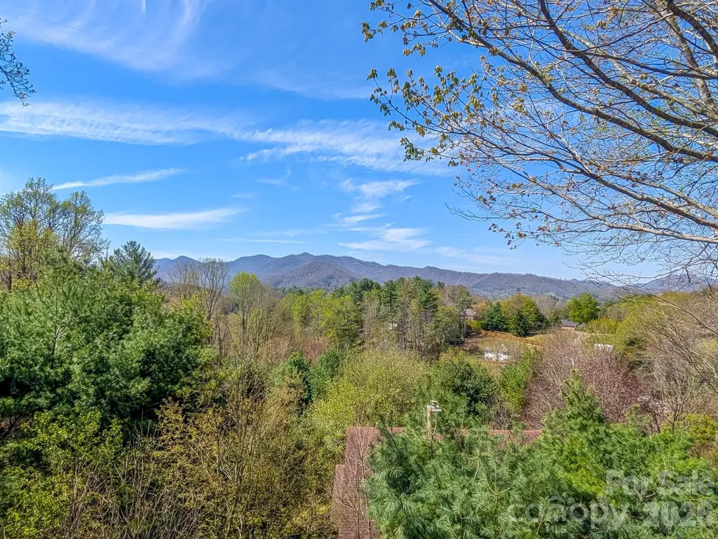 254 Shepard Way Burnsville NC 28714
