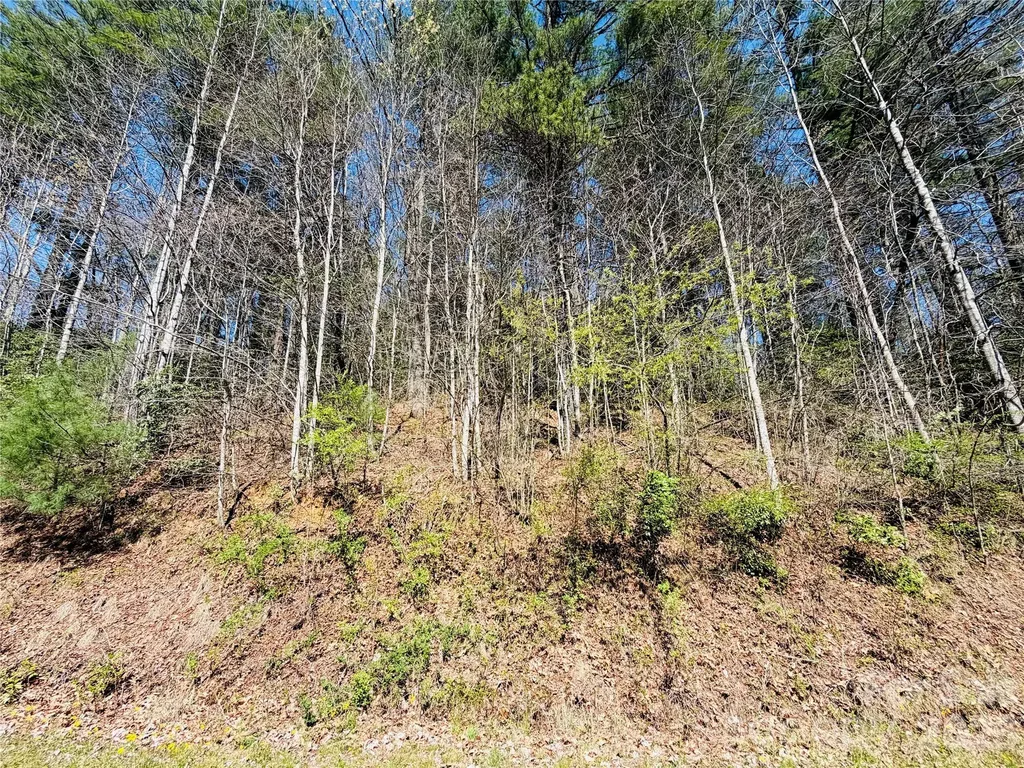 0000 Rock Creek Road Zirconia NC 28790
