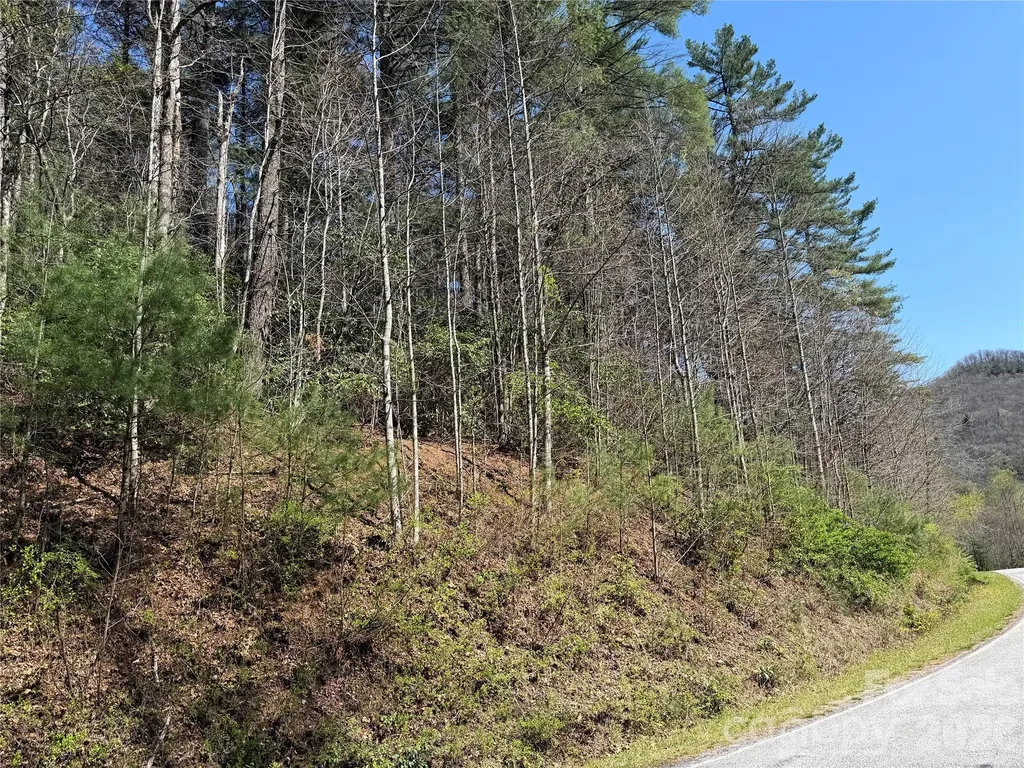 0000 Rock Creek Road Zirconia NC 28790