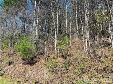 0000 Rock Creek Road Zirconia NC 28790