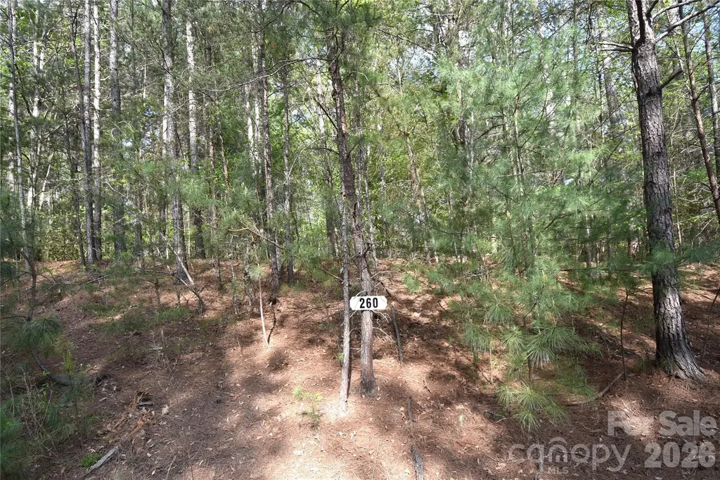 5417 Bridgewater Drive Granite Falls NC 28630