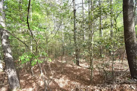 5417 Bridgewater Drive Granite Falls NC 28630