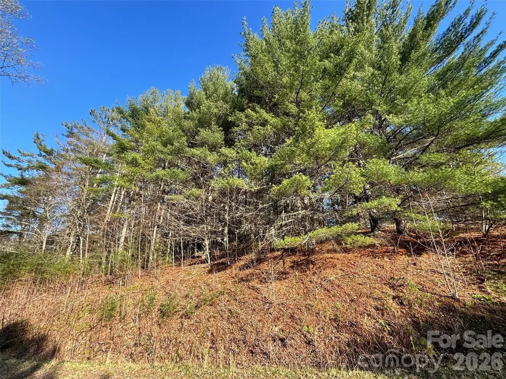 24 Dream Valley Drive Clyde NC 28721