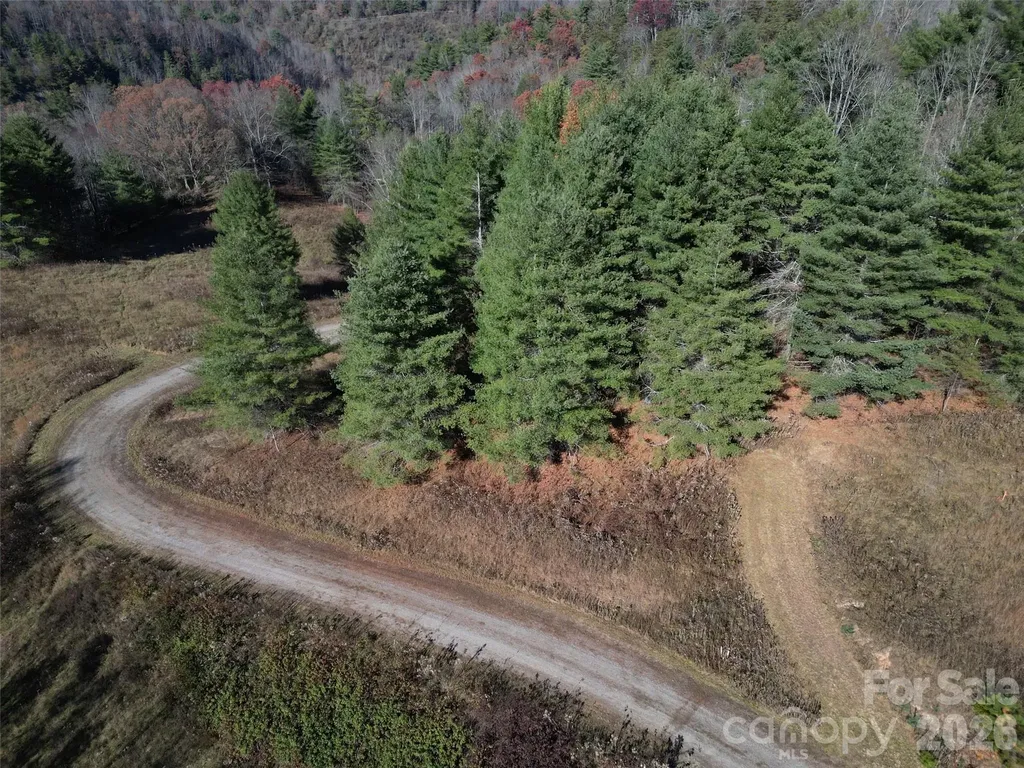 24 Dream Valley Drive Clyde NC 28721