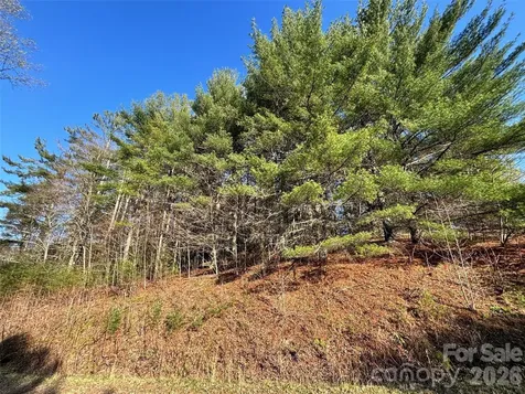 24 Dream Valley Drive Clyde NC 28721