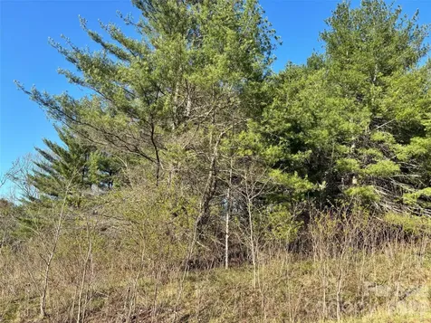 24 Dream Valley Drive Clyde NC 28721