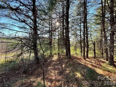 24 Dream Valley Drive Clyde NC 28721