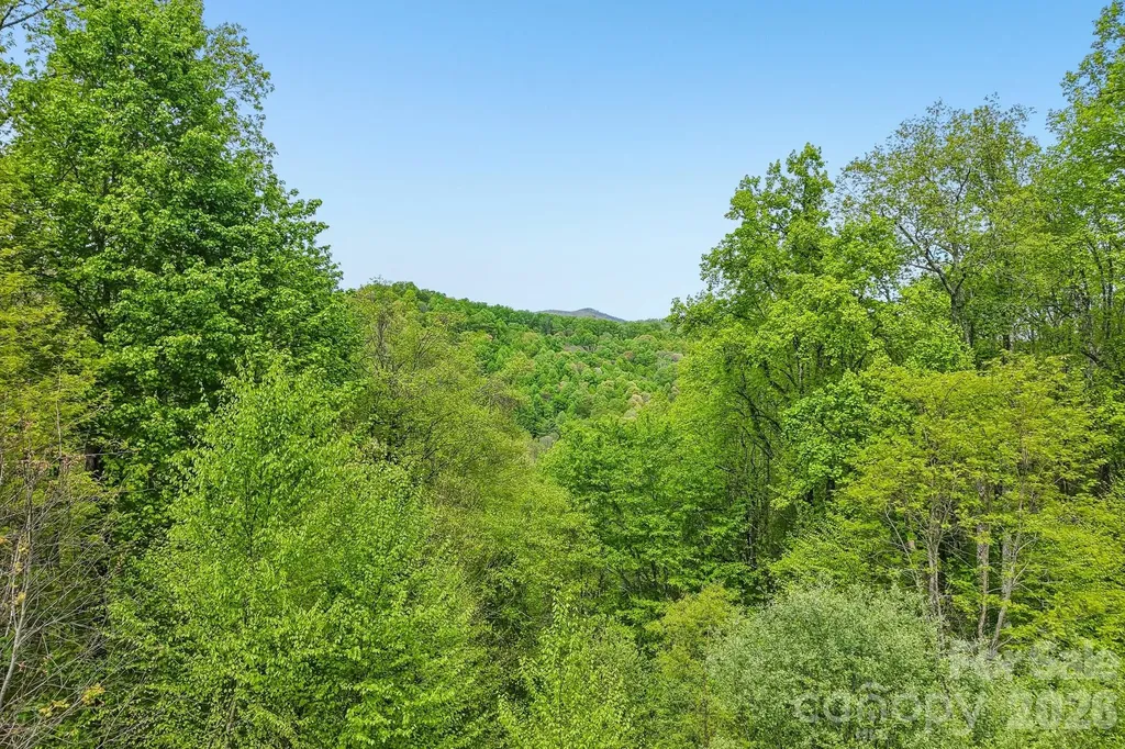 519 Susanna Cove Road Mars Hill NC 28754