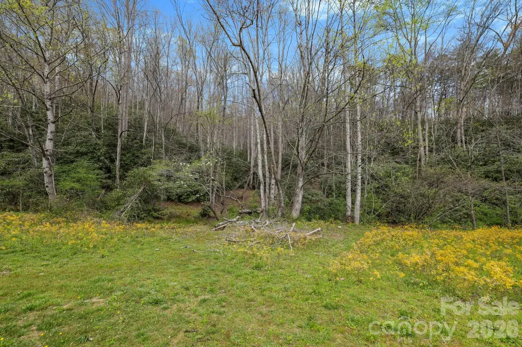 305 Stamey Creek Road Brevard NC 28712