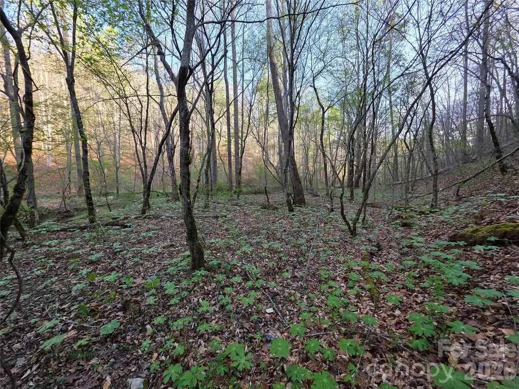 00 Mountain Creek Way Marion NC 28752