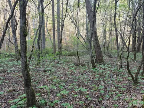 00 Mountain Creek Way Marion NC 28752