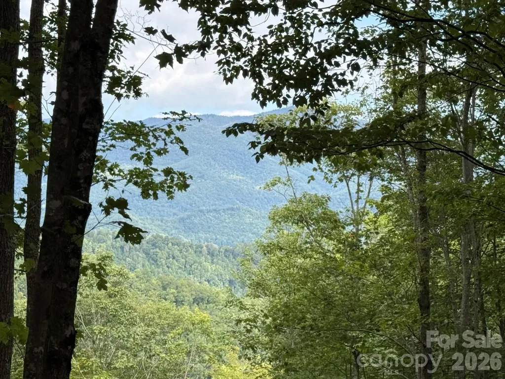 Lt 262 Tote Road Sylva NC 28779