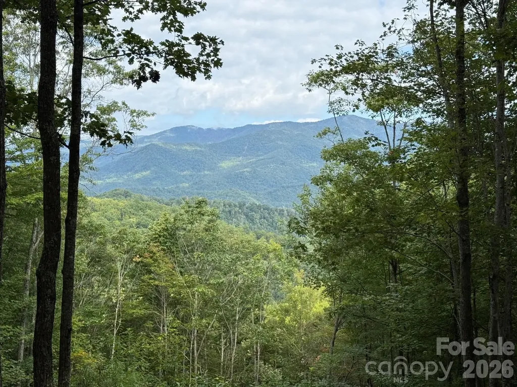 Lt 262 Tote Road Sylva NC 28779
