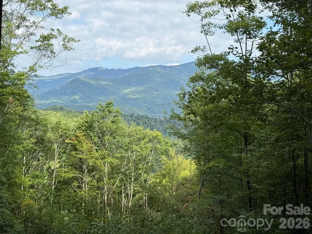 Lt 262 Tote Road Sylva NC 28779