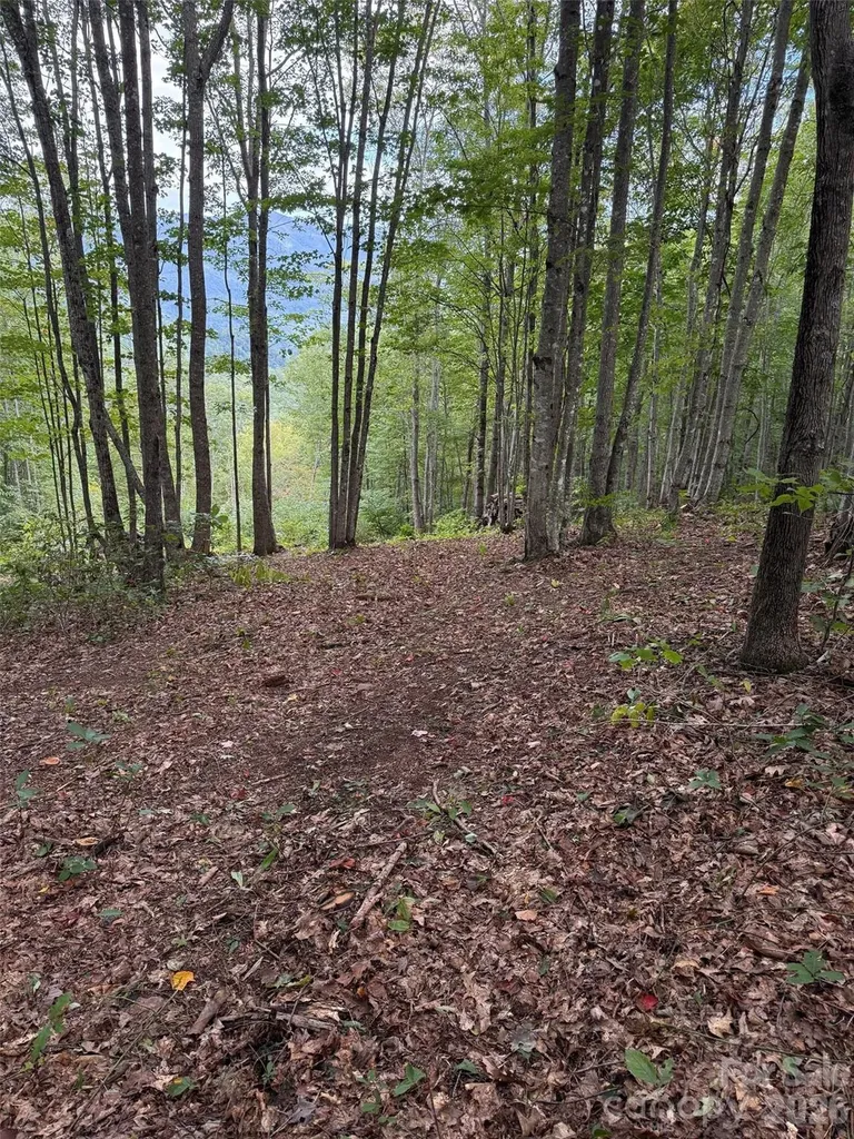 Lt 262 Tote Road Sylva NC 28779