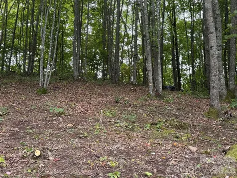 Lt 262 Tote Road Sylva NC 28779