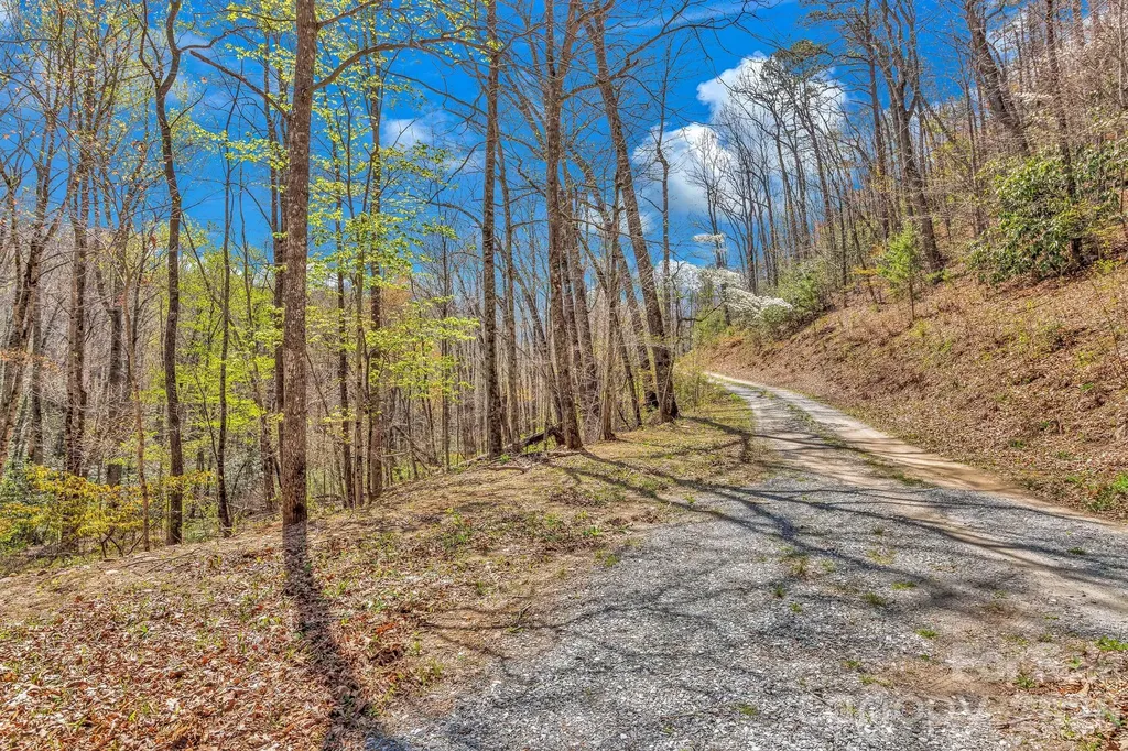 1100 Panther Branch Road Canton NC 28716