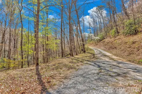 1100 Panther Branch Road Canton NC 28716