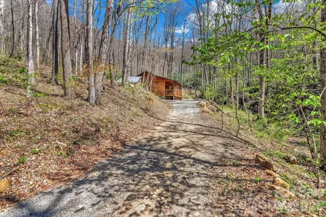 1100 Panther Branch Road Canton NC 28716